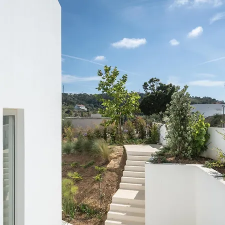 Golden House * Santo Isidoro